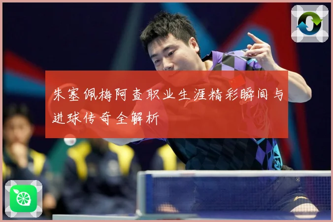 朱塞佩梅阿查职业生涯精彩瞬间与进球传奇全解析