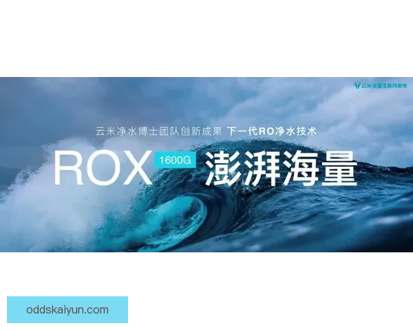 开云官网：探索奢华与创新的完美结合，带你走进时尚与艺术的无尽世界